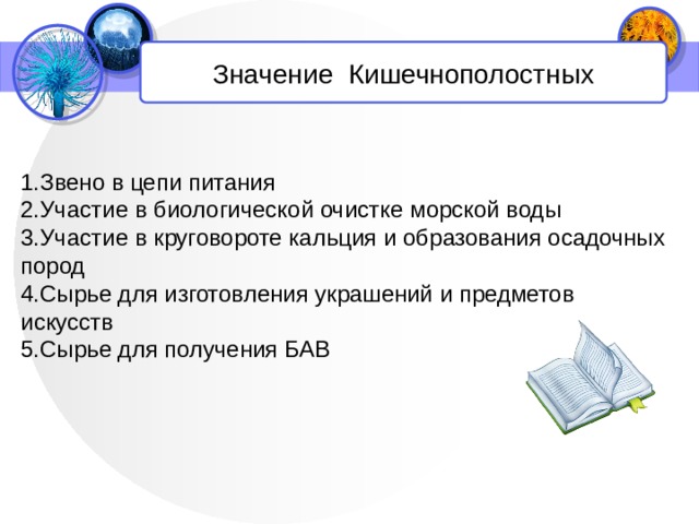 Значение Кишечнополостных 1.Звено в цепи питания 2.Участие в биологической очистке морской воды 3.Участие в круговороте кальция и образования осадочных пород 4.Сырье для изготовления украшений и предметов искусств 5.Сырье для получения БАВ 