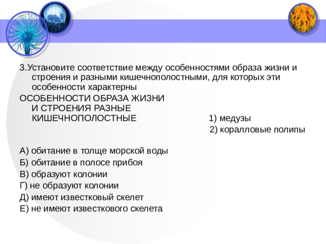 3.Установите соответствие между особенностями образа жизни и строения и разными кишечнополостными, для которых эти особенности характерны ОСОБЕННОСТИ ОБРАЗА ЖИЗНИ  И СТРОЕНИЯ РАЗНЫЕ  КИШЕЧНОПОЛОСТНЫЕ 1) медузы 2) коралловые полипы    А) обитание в толще морской воды Б) обитание в полосе прибоя В) образуют колонии Г) не образуют колонии Д) имеют известковый скелет Е) не имеют известкового скелета  