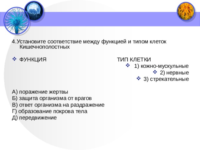 4.Установите соответствие между функцией и типом клеток Кишечнополостных   ФУНКЦИЯ  ТИП КЛЕТКИ  1) кожно-мускульные 2) нервные 3) стрекательные А) поражение жертвы Б) защита организма от врагов В) ответ организма на раздражение Г) образование покрова тела Д) передвижение   