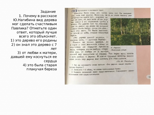 Задание  1. Почему в рассказе Ю.Нагибина вид дерева мог сделать счастливым Павлика? Отметьте один ответ, который лучше всего это объясняет.  1) это дерево его родины  2) он знал это дерево с 7 лет  3) от любви к матери, давшей ему коснуться ее сердца  4) это была старая плакучая береза   