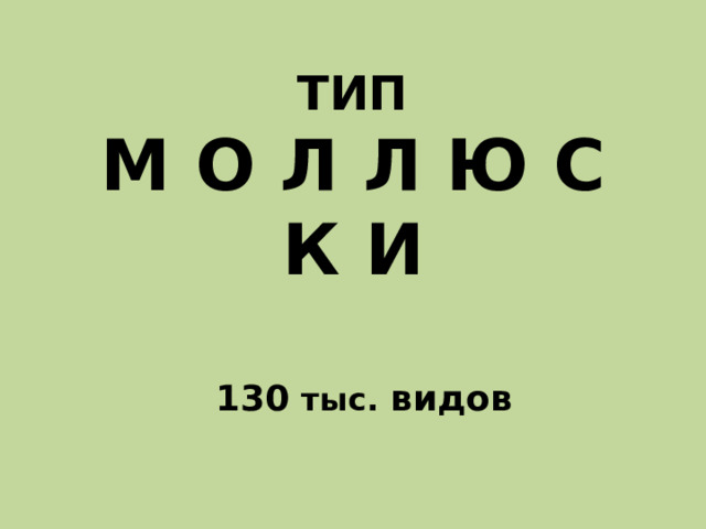 ТИП  М О Л Л Ю С К И 130 тыс. видов 