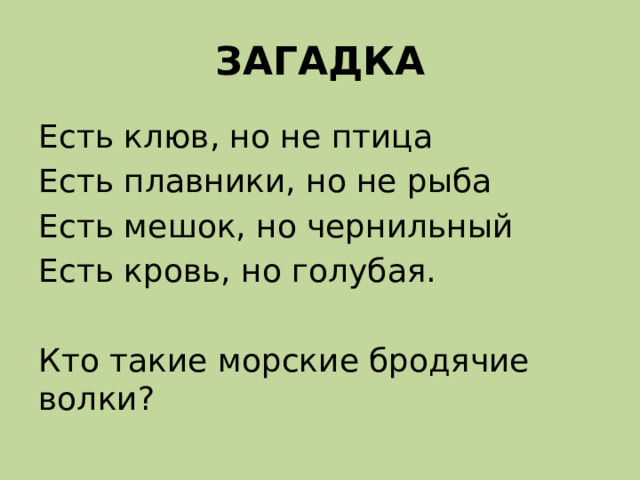 ЗАГАДКА Есть клюв, но не птица Есть плавники, но не рыба Есть мешок, но чернильный Есть кровь, но голубая. Кто такие морские бродячие волки? 
