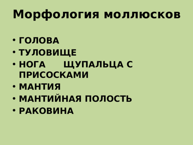 Морфология моллюсков   ГОЛОВА ТУЛОВИЩЕ НОГА ЩУПАЛЬЦА С ПРИСОСКАМИ МАНТИЯ МАНТИЙНАЯ ПОЛОСТЬ РАКОВИНА 