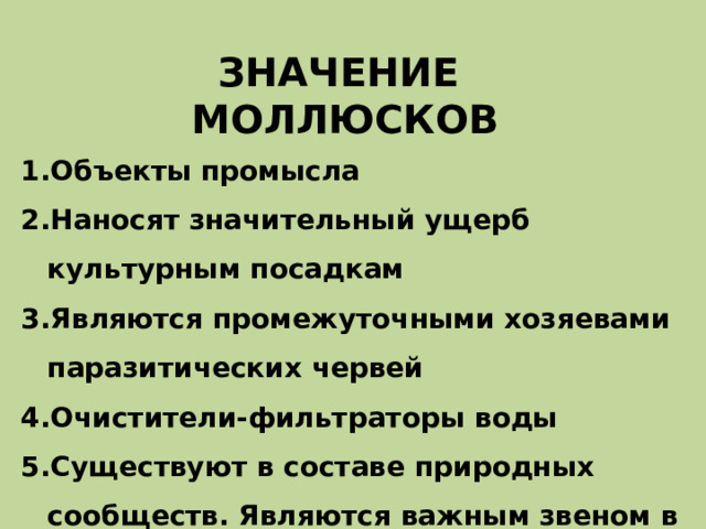 ЗНАЧЕНИЕ МОЛЛЮСКОВ Объекты промысла Наносят значительный ущерб культурным посадкам Являются промежуточными хозяевами паразитических червей Очистители-фильтраторы воды Существуют в составе природных сообществ. Являются важным звеном в цепи питания. 