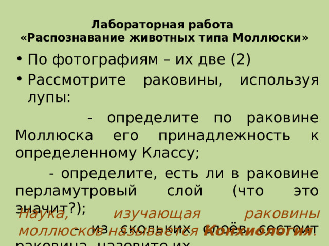 Лабораторная работа  «Распознавание животных типа Моллюски» По фотографиям – их две (2) Рассмотрите раковины, используя лупы:  - определите по раковине Моллюска его принадлежность к определенному Классу;  - определите, есть ли в раковине перламутровый слой (что это значит?);  - из скольких слоёв состоит раковина, назовите их. Наука, изучающая раковины моллюсков называется Конхиология .  