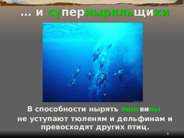 … и су пер ныряль щи ки В способности нырять пинг ви ны  не уступают тюленям и дельфинам и превосходят других птиц.  