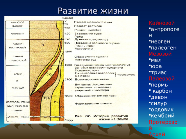 Презентация развитие жизни в мезозое и кайнозое 11 класс