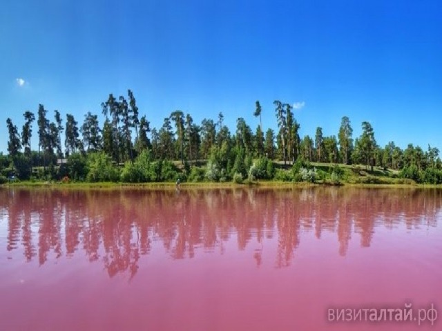 Фото озеро малиновое алтайский край фото