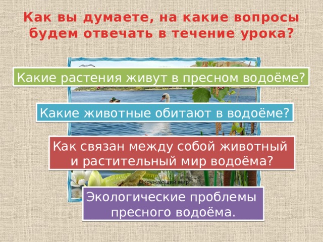 Жизнь пресных водоемов презентация 4 класс плешаков школа россии