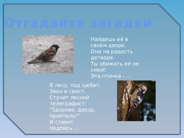 Отгадайте загадки Найдешь её в своём дворе, Она на радость детворе. Ты обижать её не смей! Эта птичка - . В лесу, под щебет, Звон и свист, Стучит лесной телеграфист: 