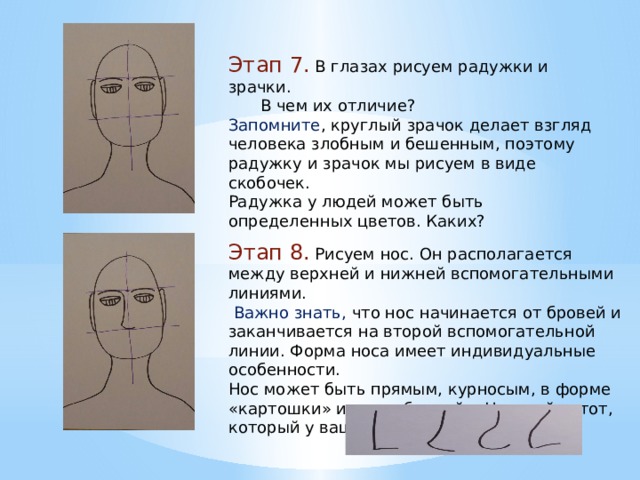 Этап 7. В глазах рисуем радужки и зрачки.  В чем их отличие? Запомните , круглый зрачок делает взгляд человека злобным и бешенным, поэтому радужку и зрачок мы рисуем в виде скобочек. Радужка у людей может быть определенных цветов. Каких? Этап 8. Рисуем нос. Он располагается между верхней и нижней вспомогательными линиями.  Важно знать, что нос начинается от бровей и заканчивается на второй вспомогательной линии. Форма носа имеет индивидуальные особенности. Нос может быть прямым, курносым, в форме «картошки» и «с горбинкой». Нарисуйте тот, который у вашей мамы. 