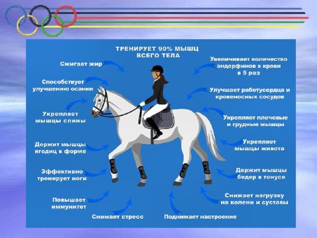 План конной тренировки