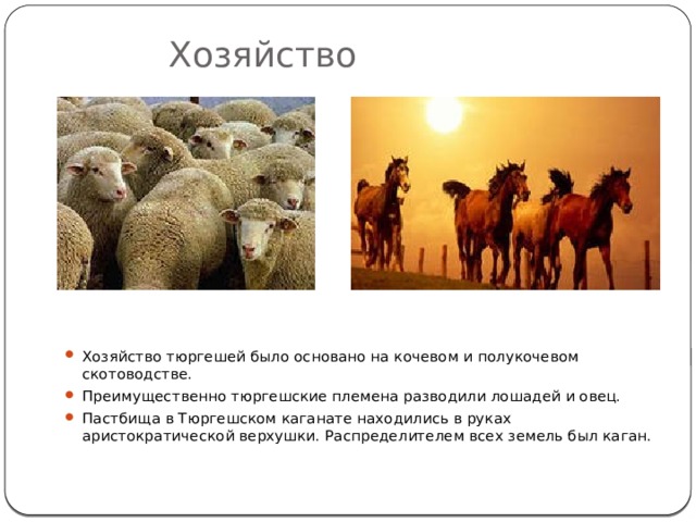 Хозяйство Хозяйство тюргешей было основано на кочевом и полукочевом скотоводстве. Преимущественно тюргешские племена разводили лошадей и овец. Пастбища в Тюргешском каганате находились в руках аристократической верхушки. Распределителем всех земель был каган. 