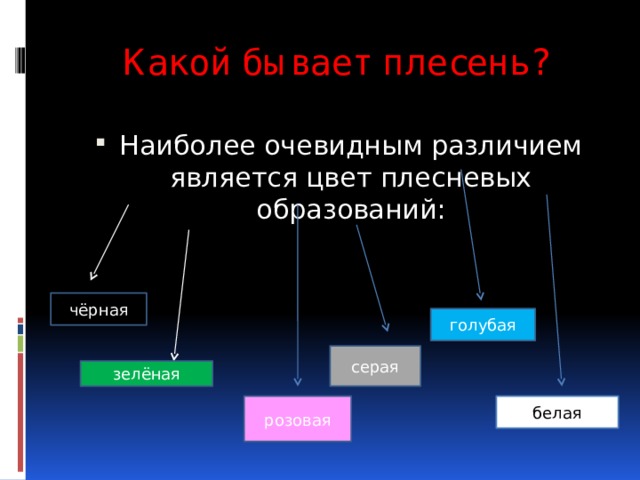 Какой бывает плесень? Наиболее очевидным различием является цвет плесневых образований: чёрная голубая серая зелёная розовая белая 