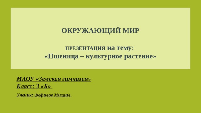   ОКРУЖАЮЩИЙ МИР   ПРЕЗЕНТАЦИЯ на тему:  «Пшеница – культурное растение»   МАОУ «Земская гимназия»  Класс: 3 «Б» Ученик: Фефилов Михаил 