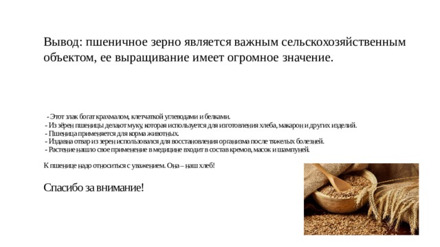 Замените словосочетание пшеничные зерна на управление