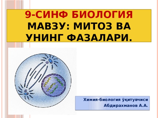 9-синф БИОЛОГИЯ  Мавзу: Митоз ва унинг фазалари. Химия-биология ўқитувчиси Абдирахманов А.А. 