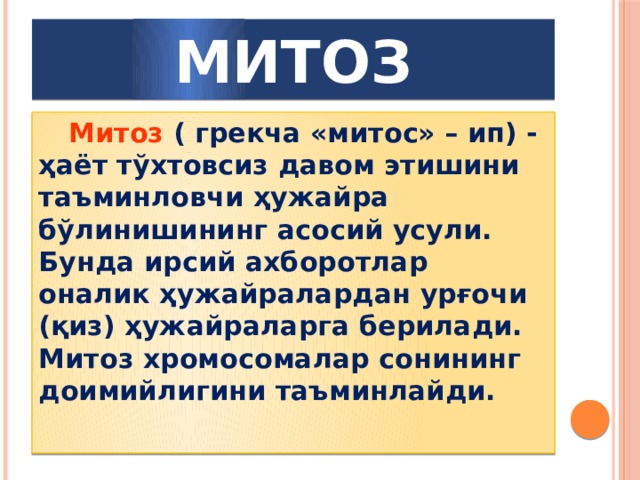 МИТОЗ  Митоз ( грекча «митос» – ип) - ҳаёт тўхтовсиз давом этишини таъминловчи ҳужайра бўлинишининг асосий усули. Бунда ирсий ахборотлар оналик ҳужайралардан урғочи (қиз) ҳужайраларга берилади. Митоз хромосомалар сонининг доимийлигини таъминлайди. 