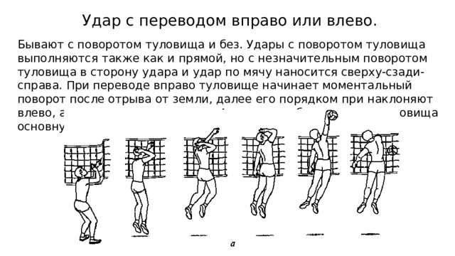 Volleyball перевод