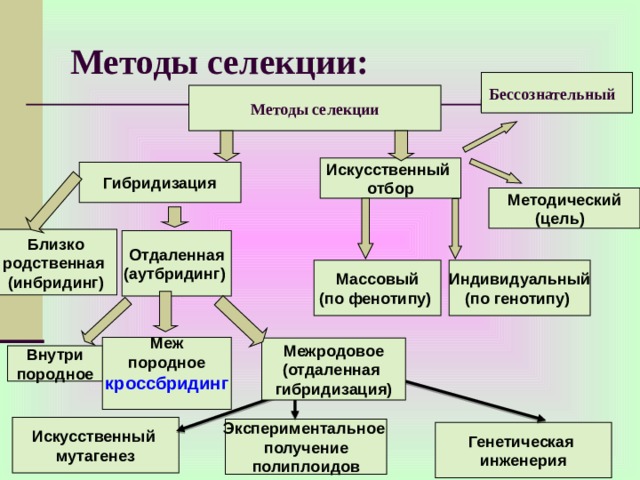 Методы селекции