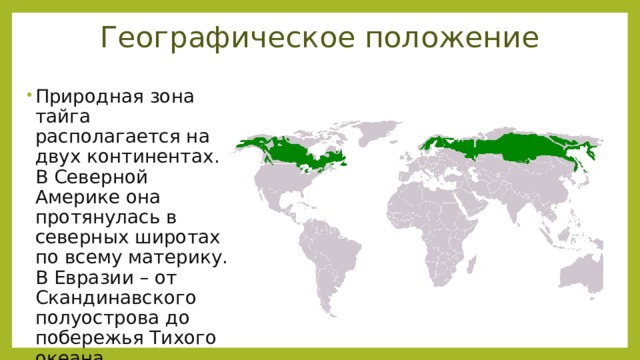 Географическое положение тайги 8 класс. Природная зона Тайга географическое положение.