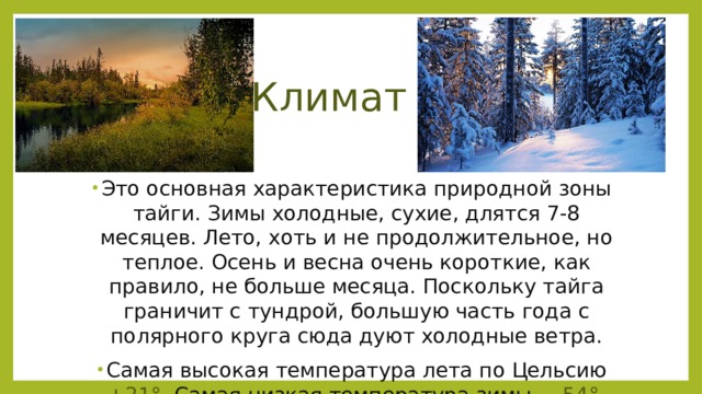 Тайга климат июля. Характеристика тайги 3 класс презентация. Особенности климата тайги. Температура в тайге зимой и летом. Характеристика тайги 3 класс коротко.