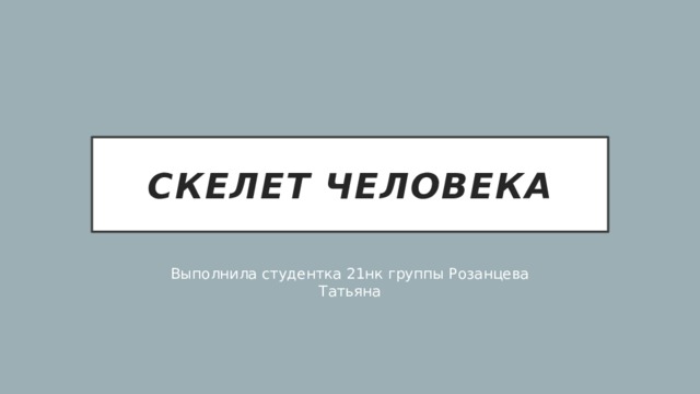 Скелет человека Выполнила студентка 21нк группы Розанцева Татьяна 