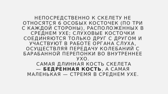 Непосредственно к скелету не относятся 6 особых косточек (по три с каждой стороны), расположенных в среднем ухе; слуховые косточки соединяются только друг с другом и участвуют в работе органа слуха, осуществляя передачу колебаний с барабанной перепонки во внутреннее ухо.  Самая длинная кость скелета —  бедренная кость , а самая маленькая — стремя в среднем ухе. 