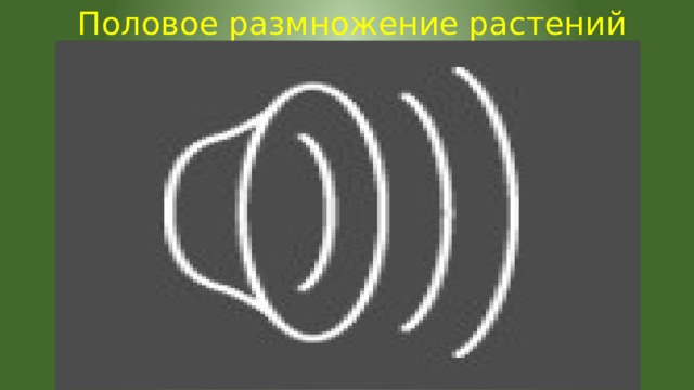 Половое размножение растений 