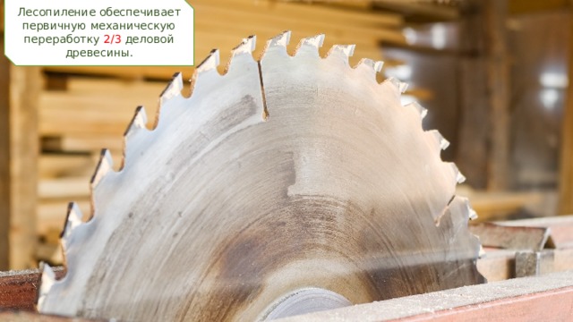 Лесопиление обеспечивает первичную механическую переработку 2/3 деловой древесины.  