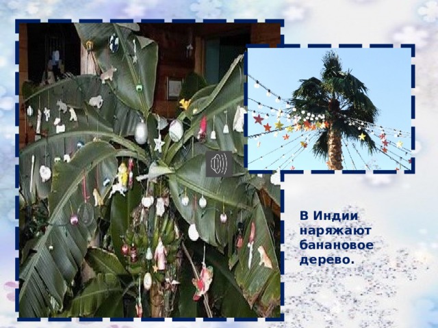 В Индии наряжают банановое дерево. 