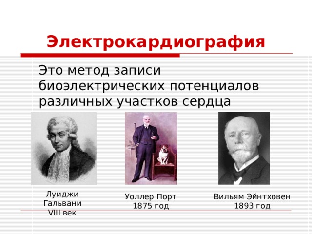 Электрокардиография  Это метод записи биоэлектрических потенциалов различных участков сердца Луиджи Гальвани VIII век Уоллер Порт 1875 год Вильям Эйнтховен 1893 год 
