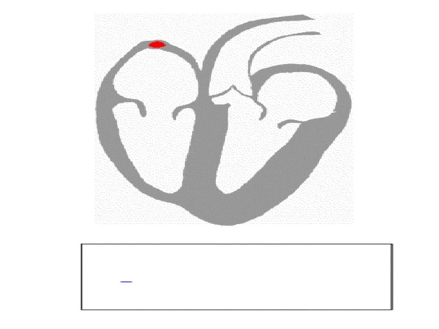 Любов А.С. 