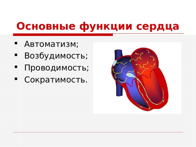 Основные функции сердца Автоматизм; Возбудимость; Проводимость; Сократимость. 