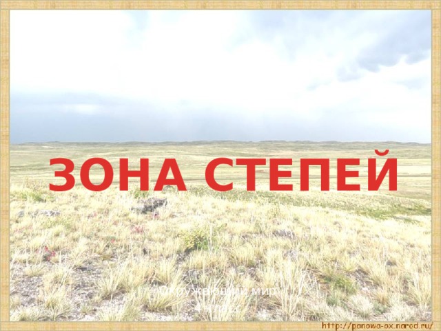 Тема степь 4 класс окружающий мир. Зона степей 4 класс окружающий мир животные, птицы. Зона степей 4 класс окружающий мир с животными. Тест по теме степь 4 класс окружающий мир 21 век.