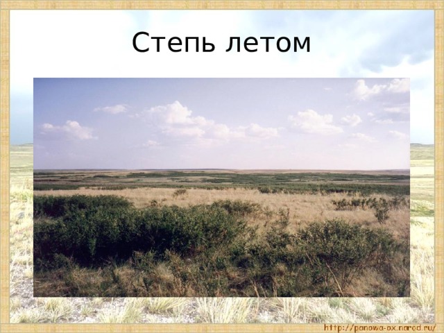 Окружающий 4 класс тема степь. Какое лето в степи. Тема степь проснулась. Какое лето в степи 4 класс. Степь осадки мм в год.