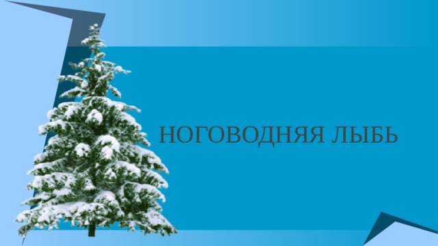 Новогодняя быль жанр произведения