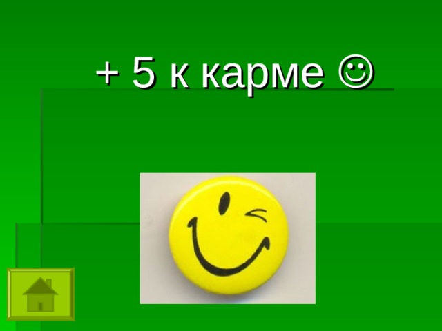 + 5 к карме  