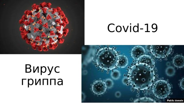 Covid-19 Вирус гриппа 