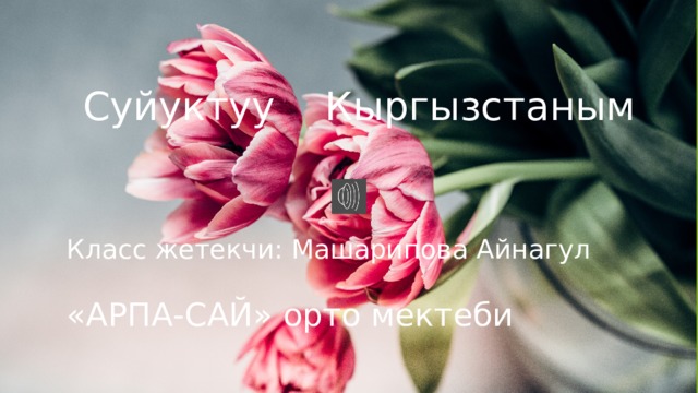 Суйуктуу Кыргызстаным Класс жетекчи: Машарипова Айнагул «АРПА-САЙ» орто мектеби  