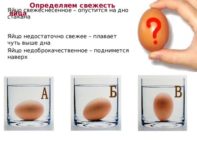  Определяем свежесть яйца Яйцо свежеснесенное – опустится на дно стакана Яйцо недостаточно свежее – плавает чуть выше дна Яйцо недоброкачественное – поднимется наверх 