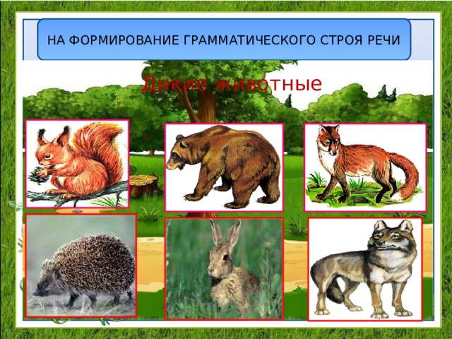 НА ФОРМИРОВАНИЕ ГРАММАТИЧЕСКОГО СТРОЯ РЕЧИ Дикие животные 
