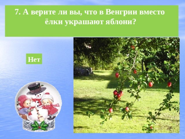 7. А верите ли вы, что в Венгрии вместо ёлки украшают яблони? Нет 