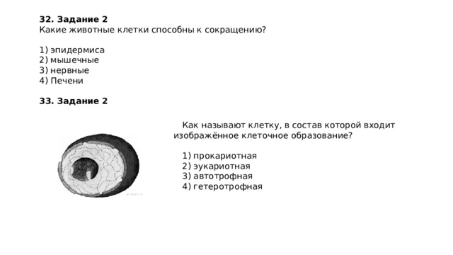 32.   Задание 2   Какие животные клетки способны к сокращению?   1) эпидермиса 2) мышечные 3) нервные 4) Печени 33.   Задание 2 Как называют клетку, в состав которой входит изображённое клеточное образование?   1) прокариотная 2) эукариотная 3) автотрофная 4) гетеротрофная 