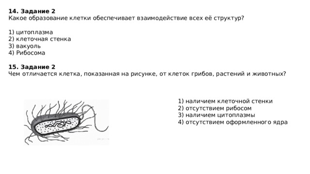 14.   Задание 2   Какое образование клетки обеспечивает взаимодействие всех её структур?   1) цитоплазма 2) клеточная стенка 3) вакуоль 4) Рибосома 15.   Задание 2 Чем отличается клетка, показанная на рисунке, от клеток грибов, растений и животных?   1) наличием клеточной стенки 2) отсутствием рибосом 3) наличием цитоплазмы 4) отсутствием оформленного ядра 