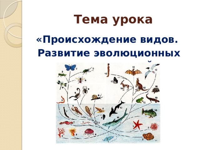 Тема урока «Происхождение видов. Развитие эволюционных представлений»