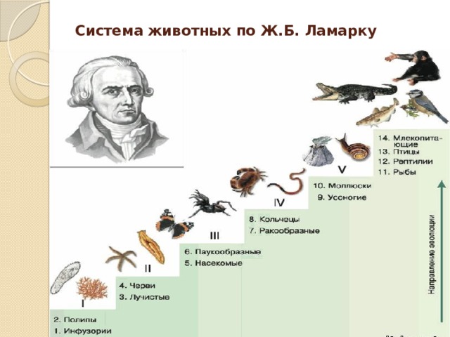 Система животных по Ж.Б. Ламарку