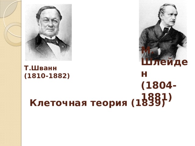 М. Шлейден (1804-1881) Т.Шванн (1810-1882) Клеточная теория (1839)