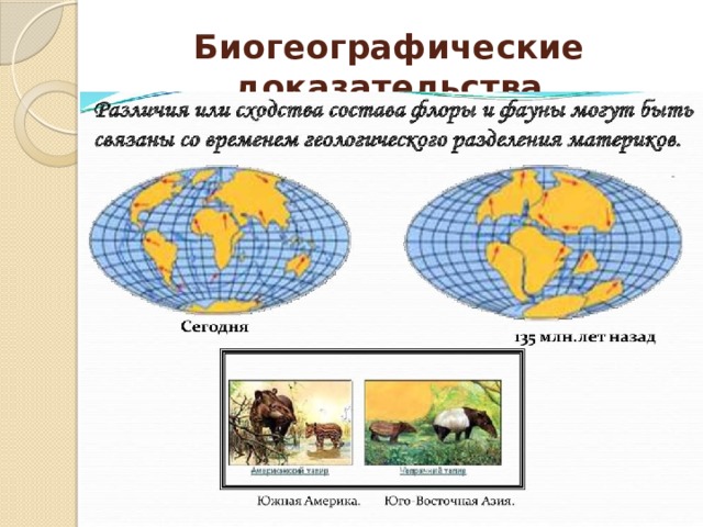 Биогеографические доказательства Сравнение флоры и фауны
