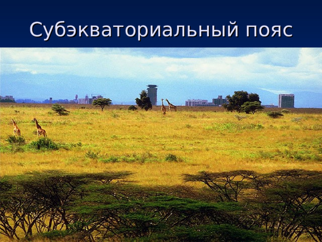 Географическое расположение субэкваториального пояса Презентация "Климат Африки"